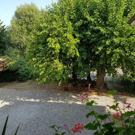 Il Ruscello Di *